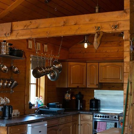 George Cabin - Log Cabin In Wales With Hot Tub Newtown  Exteriör bild