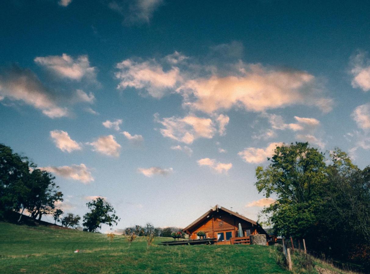 George Cabin - Log Cabin In Wales With Hot Tub Newtown  Exteriör bild