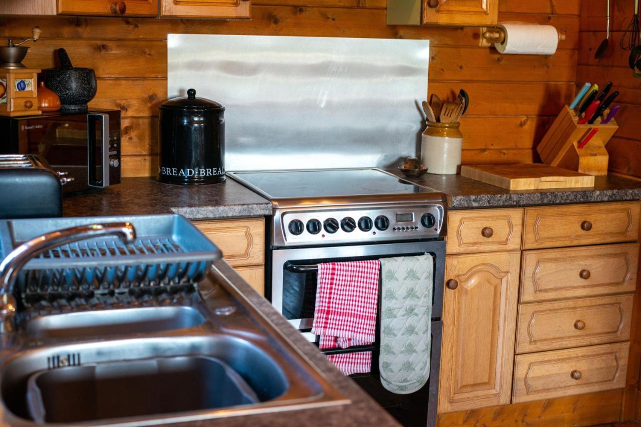 George Cabin - Log Cabin In Wales With Hot Tub Newtown  Exteriör bild