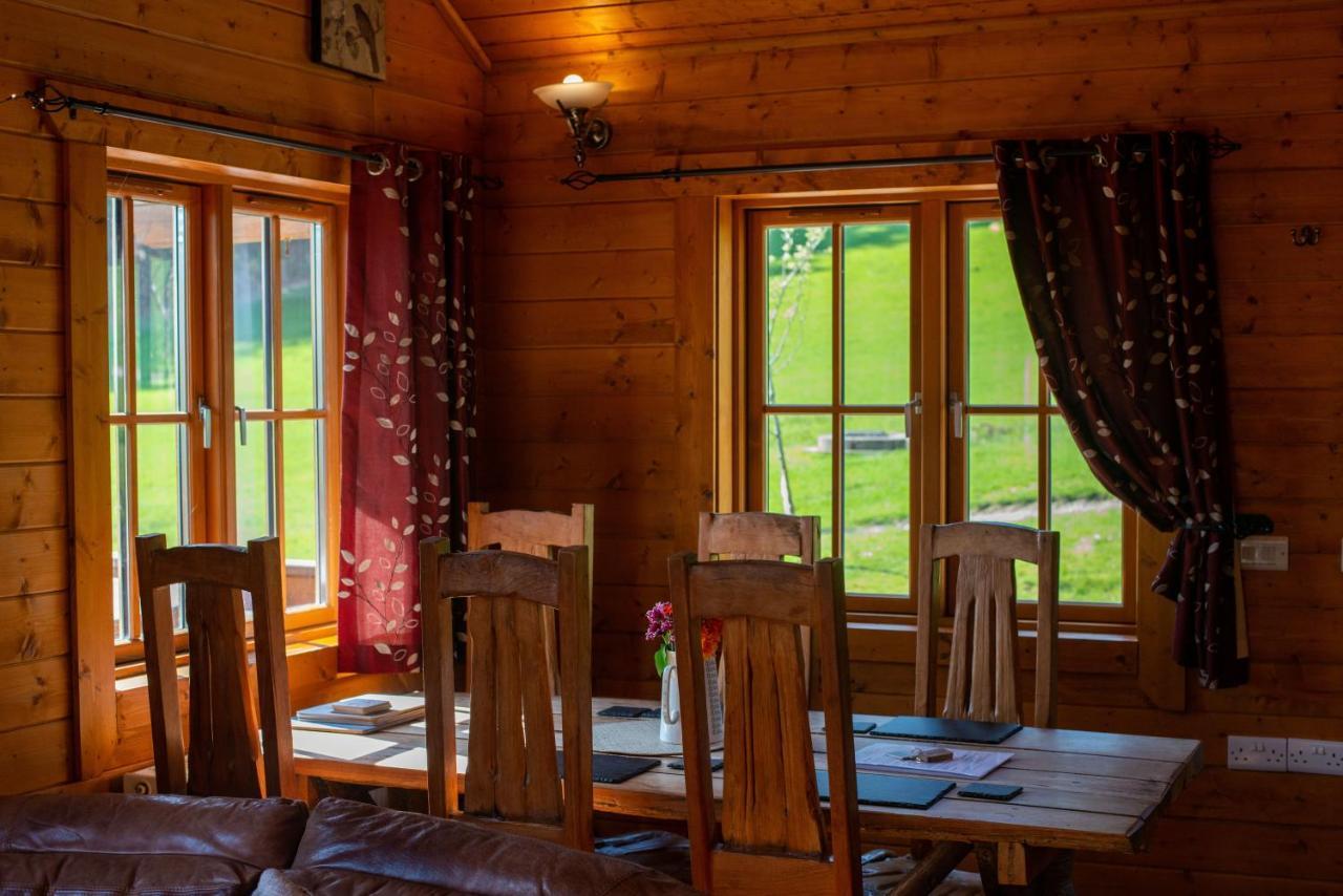 George Cabin - Log Cabin In Wales With Hot Tub Newtown  Exteriör bild