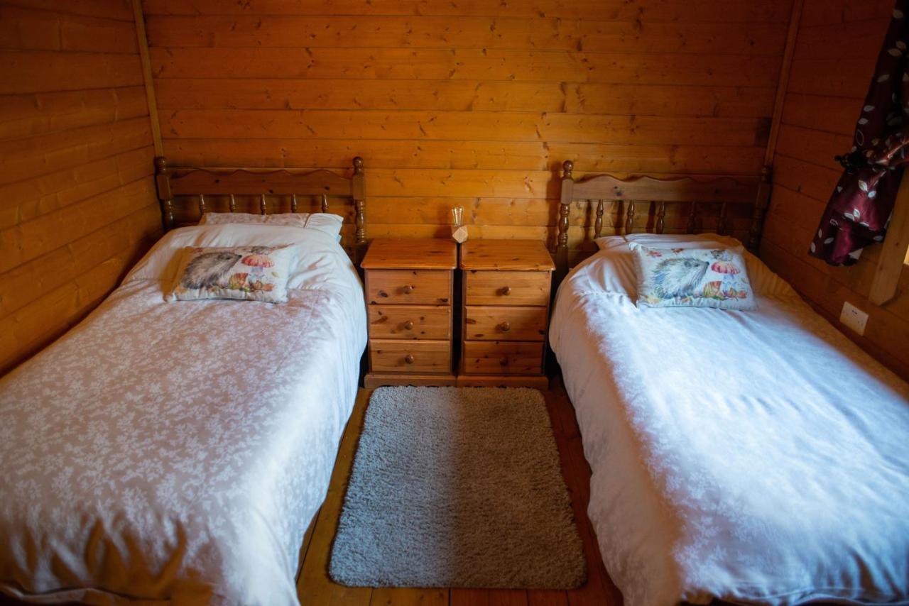 George Cabin - Log Cabin In Wales With Hot Tub Newtown  Exteriör bild