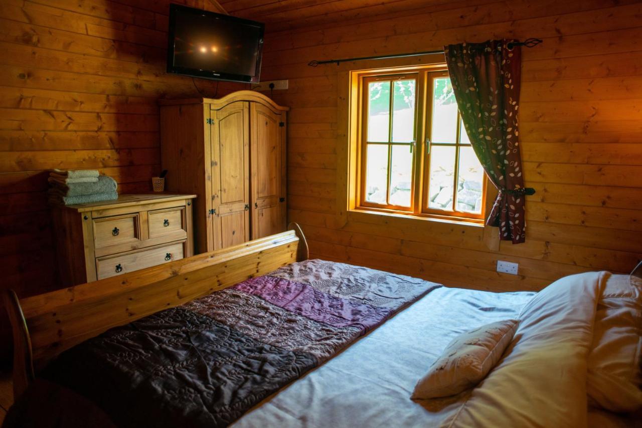 George Cabin - Log Cabin In Wales With Hot Tub Newtown  Exteriör bild